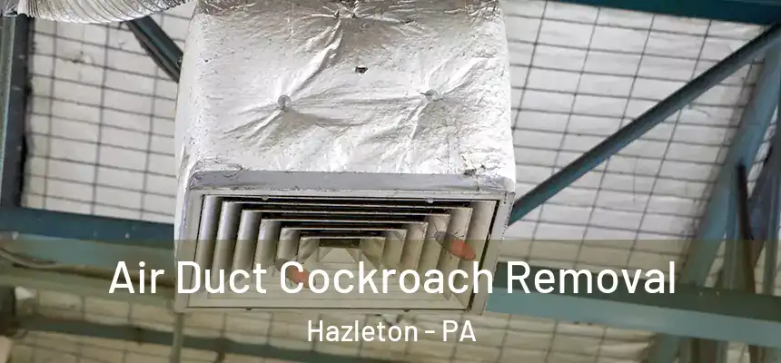 Air Duct Cockroach Removal Hazleton - PA
