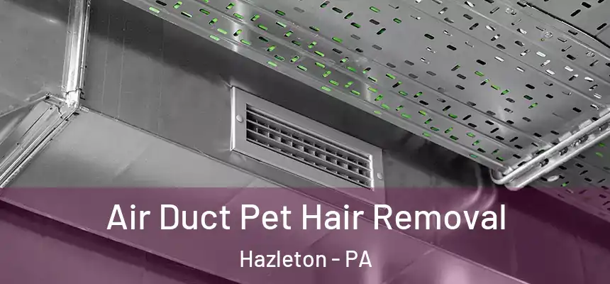  Air Duct Pet Hair Removal Hazleton - PA