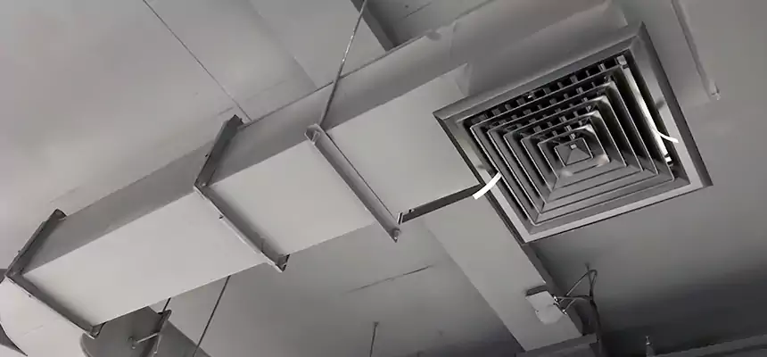 Restorative Allergy Relief Vent Cleaning – Coil, Blower & Housing Detail in Hazleton