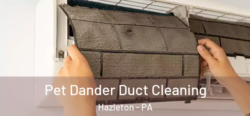  Pet Dander Duct Cleaning Hazleton - PA