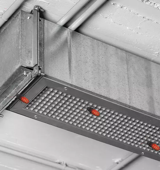 About Air Duct Cockroach Removal in Hazleton, PA