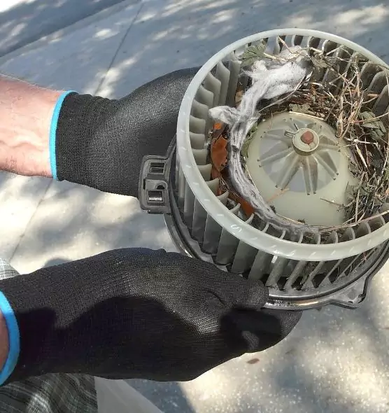 About Air Duct Mice Removal in Hazleton, PA